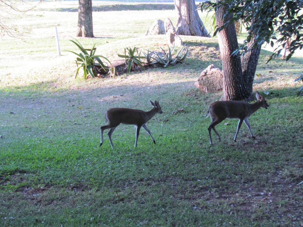 Matumi Golf Lodge Mbombela Eksteriør bilde